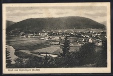 Immendingen /Baden, Ortspartie