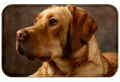 Türmatte fußmatte labrador - türmatte,