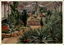 1969 STUTTGART Kakteenhaus Wilhelma Bad Cannstatt, Stempel Leonberger Hundezucht