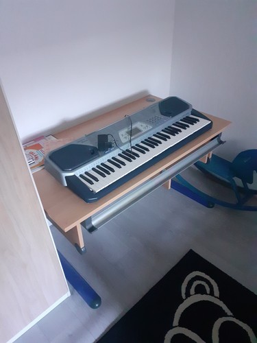 Keyboard casio ctk - keyboard, ctk-491