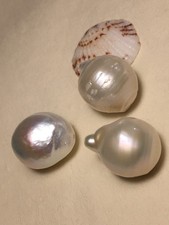 3 riesig echte Perlen