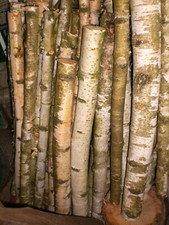 ✰Birkenstämme Birkenholz Birke Stamm Deko Basteln 75 cm lang Ø ca. 5 cm 5 Stück