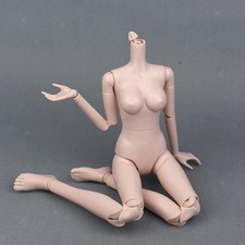 16 Gelenke 1/4 BJD Puppen