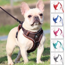 Reflektierendes hundegeschirr - reflektierendes,