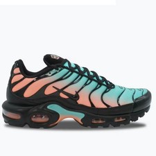 Nike Air Max Plus TN (EUR 40)