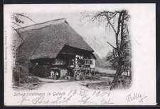 Ansichtskarte Gutach /