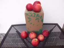 Apfel - mit 5% Birne Saft aus