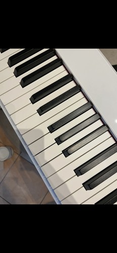 Casio s1000 piano - we,