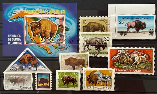Steckkarte bisons - steckkarte,