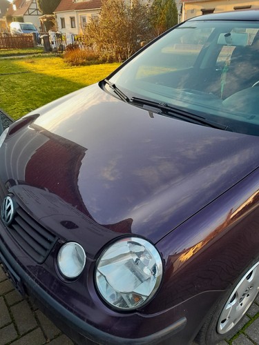 Polo tür haube heckklappe - polo, 9n