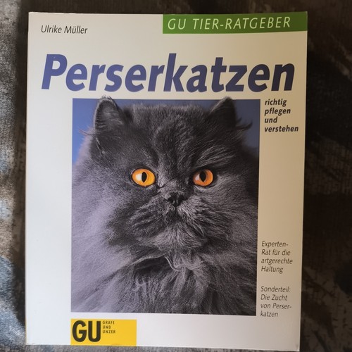 Perserkatzen pflegen und