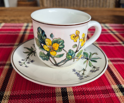 Botanica espressotasse - ,