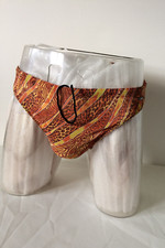 Nwt mens sexy - swimsuit, briefs