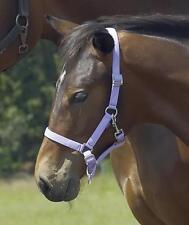 Busse Young Fohlenhalfter