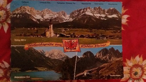 Ansichtskarte wilder - ak,,
