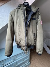 Canada goose chilliwack - goose,