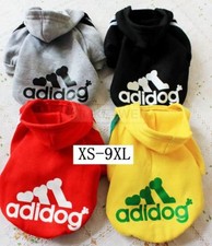 Kleine Haustiere Hunde Katze