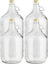 5L Glasballon (Gallone) mit