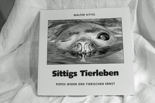 Walter sittig tierfotos - walter,