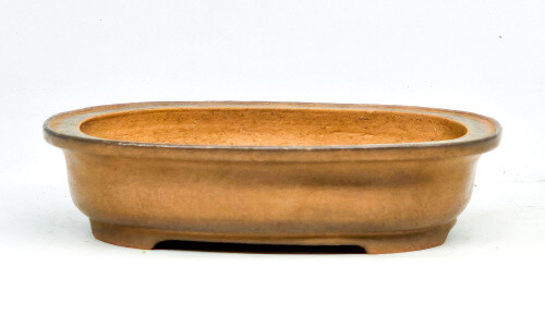 Bonsaischale shibata keizan - bonsaischale,
