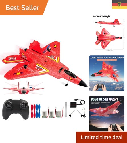 Modellflugzeug - f-22,