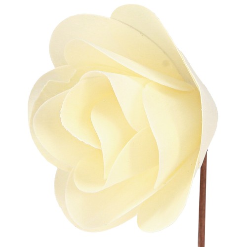 Deko rosen creme - rosen,