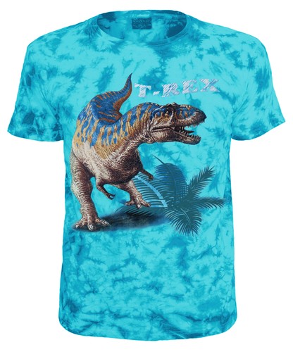 Kinder shirt dinosaurier - t-shirt,