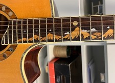 Crafter Moon Light 30th Anniversary Model Acoustic Guitar