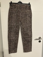 Hose Leopard Leolook Leo