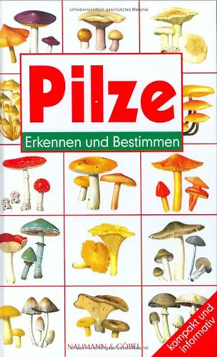 Pilze erkennen und - erkennen, bestimmen