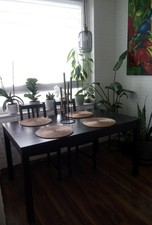 Ikea Bjursta Esstisch Tisch dunkelbraun 140 x 84 x 74 cm - ohne Deko und Stühle