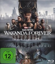 Black Panther 2 - Wakanda