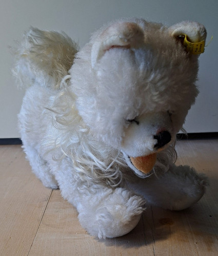 Steiff tier hund weißer - steiff, /