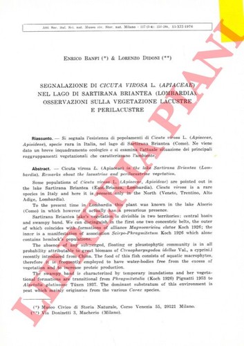Banfi didoni lorenzo - -,