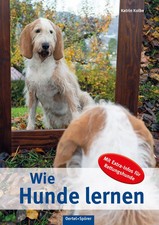 Wie hunde lernen - hunde, katrin