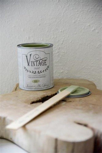 Moss green vintage paint - moss,