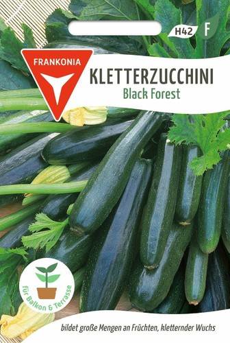 Kletterzucchini black forest - kletterzucchini,,
