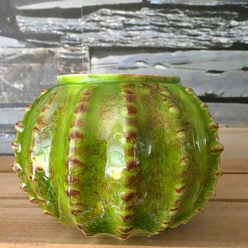 Glas deko kaktus kunstblume - glas,