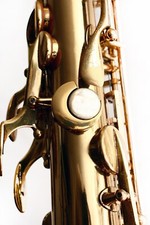 Daumenplatte, thumb rest