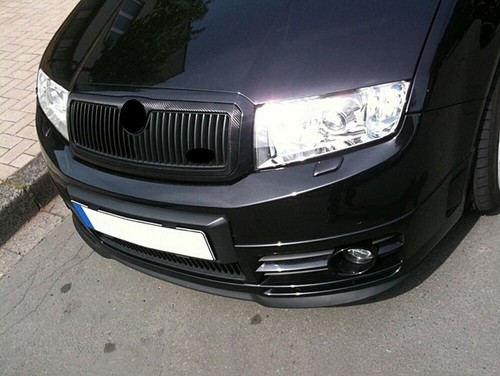 Passend für skoda fabia - skoda, 6y