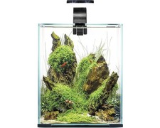 Aquarium aquael shrimp - shrimp, set