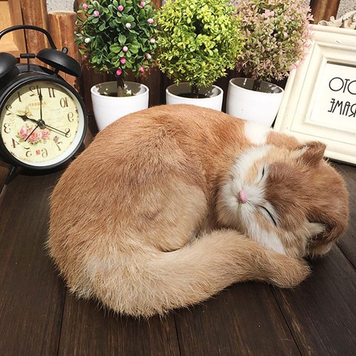 Schlafende katze lebensechte - katze,