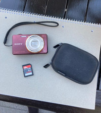 Sony Cyber-shot DSC-WX100 18.2