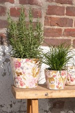 Blumentopf Übertopf