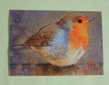 1x Postkarten Rotkehlchen Loes