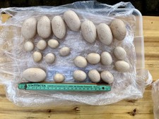 Konvolut Holzkugeln Holzeier