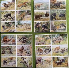 Herba Sammelalbum „Wilde