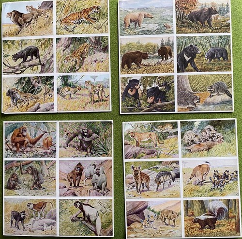 Herba sammelalbum wilde - herba,