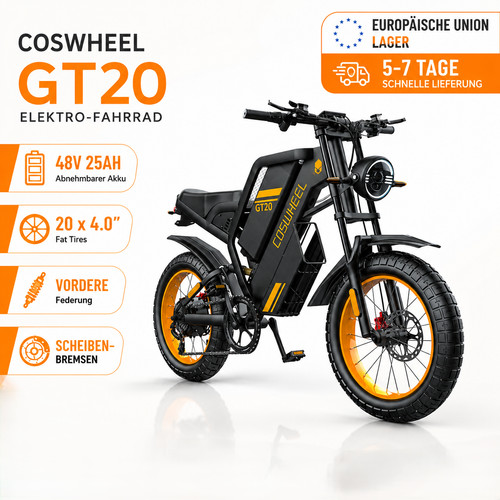 Coswheel gt20 bike - coswheel, fat
