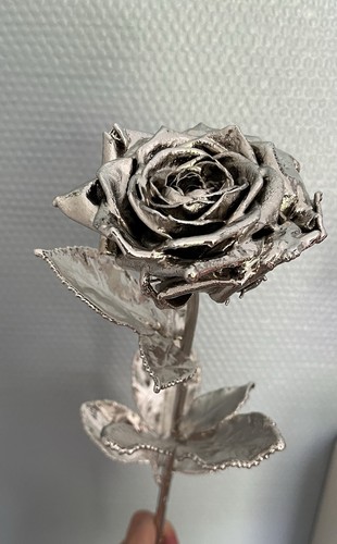 Degussa silberrose cm - 40,